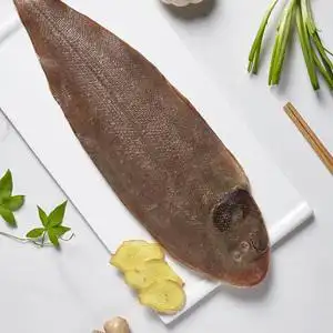 东山岛海鲜龙利鱼新鲜龙舌鱼鲜活海鱼活冻边鱼1条/斤3斤顺丰包邮