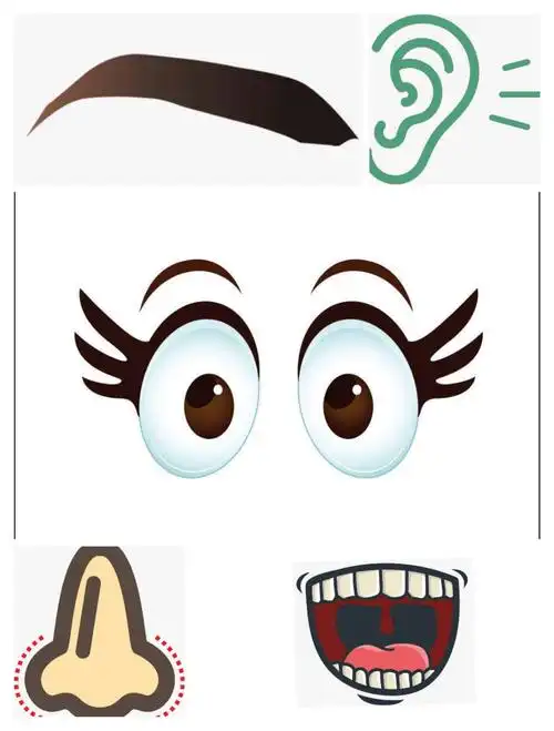 小班学习板块:艺术领域《五官歌》