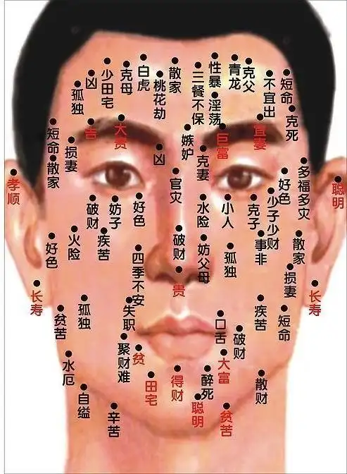 左眉头的一颗痣从小就有.现在20几年了,痣比小时候大多了!