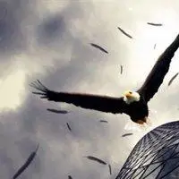 表示雄鹰的图片大全_微信头像图片大全