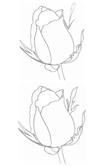 铅笔画如何画一朵玫瑰花