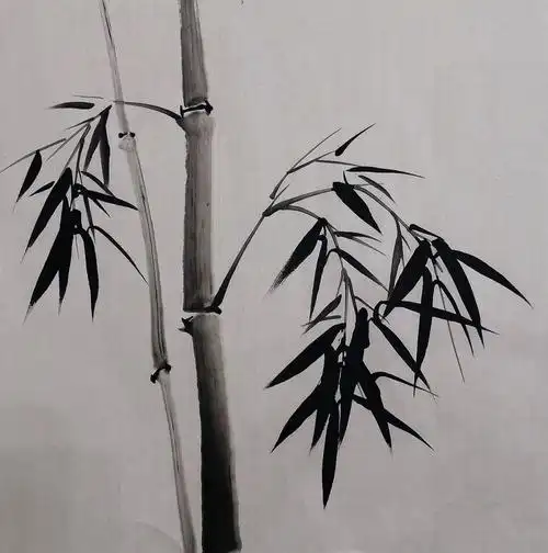 水墨画  #我的日常 #学习打卡 #竹子  #国画竹子 #女性成长 #美术