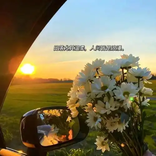 抖音温柔治愈的简短句子(抖音最近很火的情感文案)