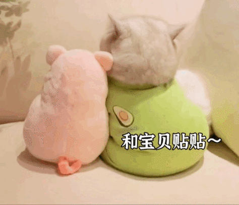 情侣必囤丨撩男友到腿软表情包(1)