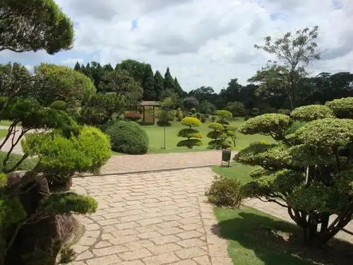 公园,自然,景观