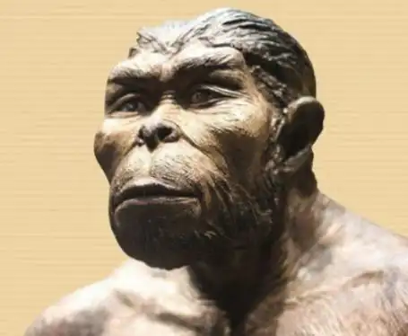 我国旧石器时代四大古人猿遗址均发现有文化现象与用火痕迹