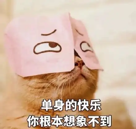 单身的快乐你根本想象不到_单身_快乐_想象_根本_不到表情