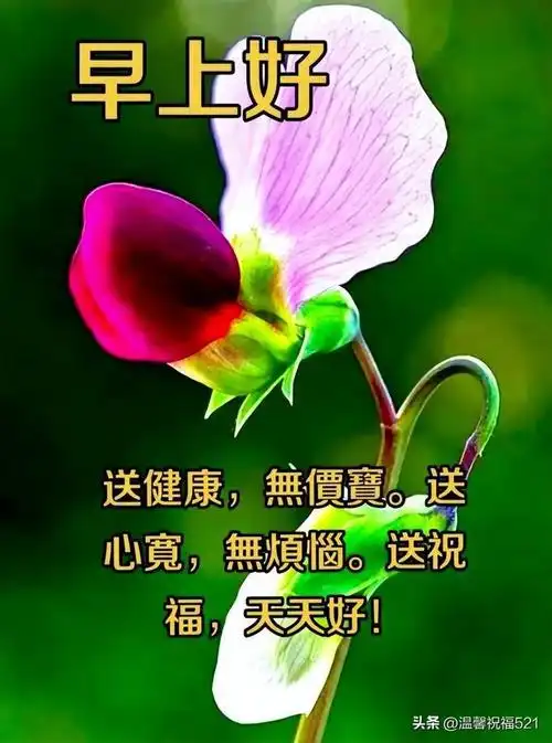 不用打字聊天的早上好图片 2023创意好看的早安问候图片带字温馨_网易