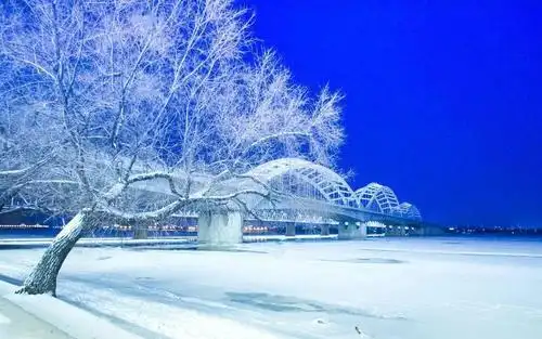 福盈冰城云享中国年95云展冰雪奇缘魅力哈尔滨用眼睛记录家乡摄影大赛