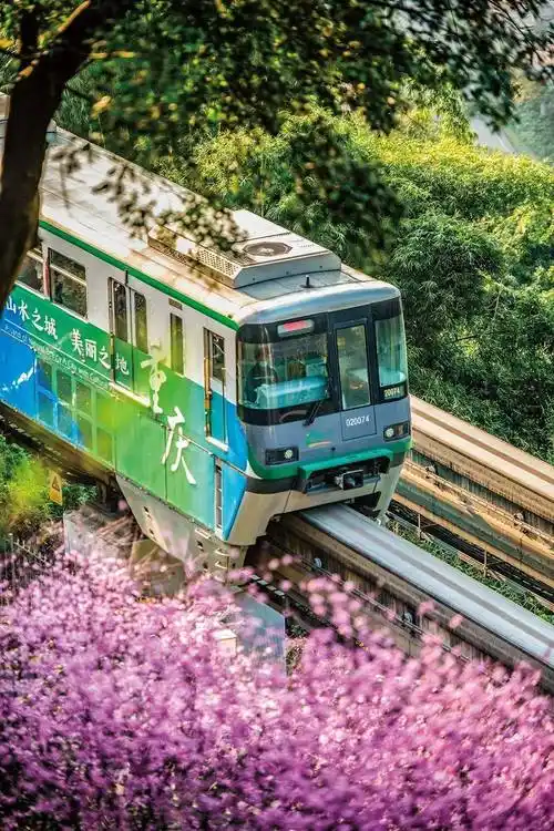 不止李子坝"穿楼",重庆轨道交通十种"最"了解一下