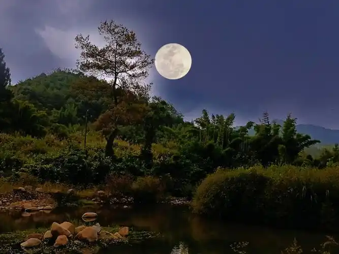 月明星稀 - 江风秋月 - 图虫