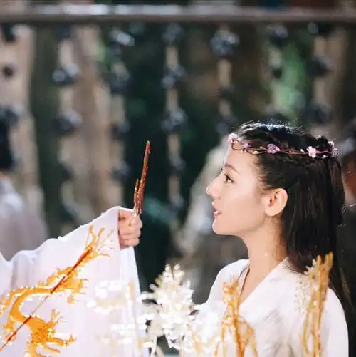 三生三世枕上书～热巴～高伟光