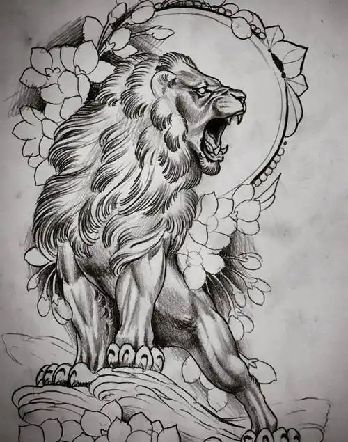 狮子的素描|图画|步态_网易订阅