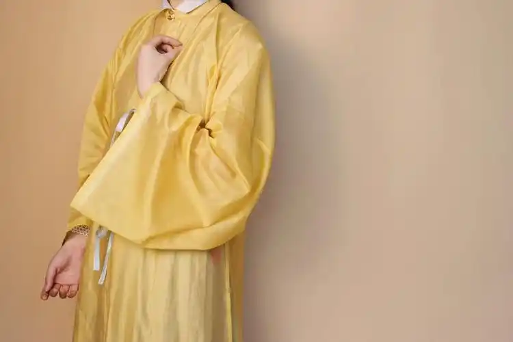 裳裳者华渺渺春夏多色天丝明制立领竖领对襟汉服