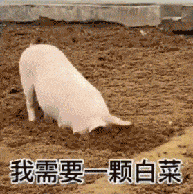 279_280gif 动态图 动图
