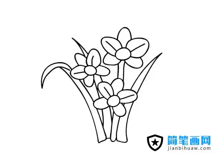 花卉水仙花简笔画图片 - 简笔画网