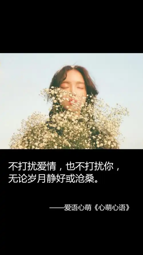 不打扰爱情,也不打扰你,无论岁月静好或沧桑.——刘国健.