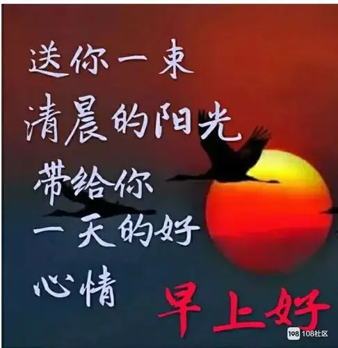 ct1156688的个人主页_108社区_108sq.cn