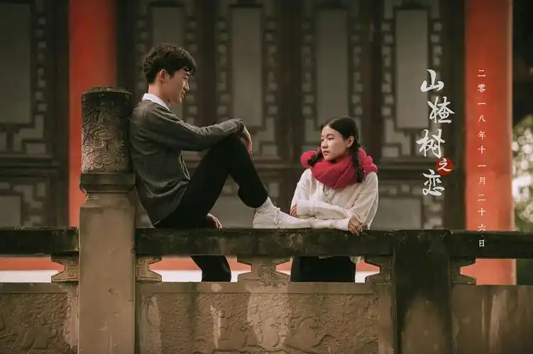 那些年,我们的爱情.《山楂树之恋》