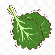 绿色菜叶下载