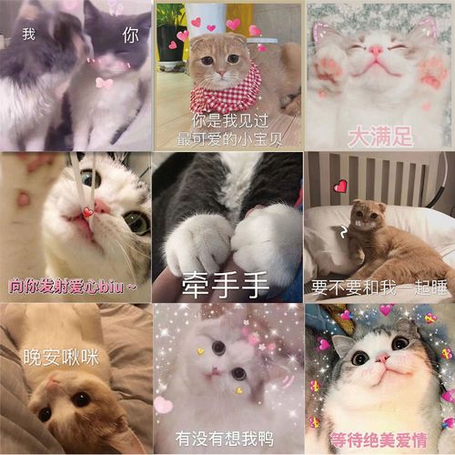 50张甜蜜恋爱女朋友亲亲猫咪表情包贴纸网红卡通可爱装饰手账贴纸