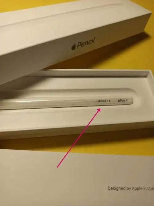 你的applepencil刻了那些有趣的字呢