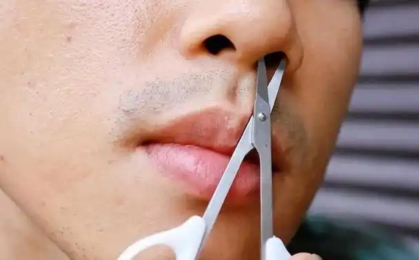 鼻毛为什么会变白?