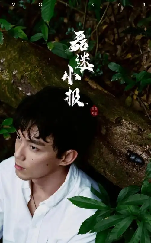 吴磊电影草木人间