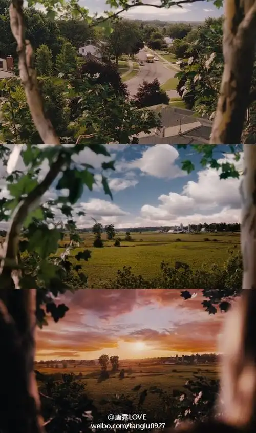 怦然心动爱情是树不是花