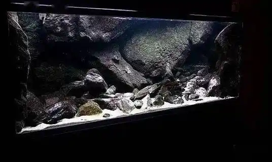 三湖造景,你也可以成为高手_下图_水族_石头