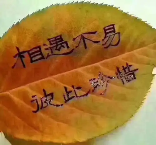 相知!相惜!相守一辈子的姐妹开心快乐到永远