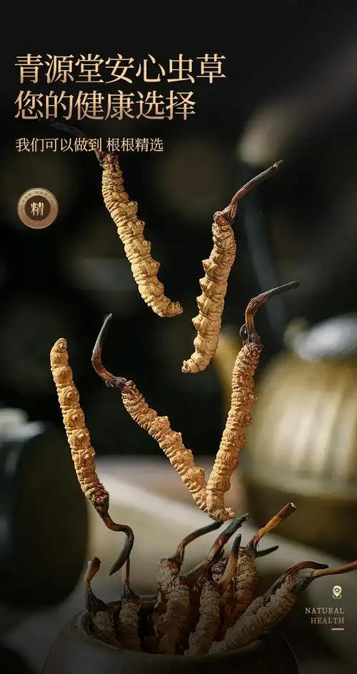 青源堂牌冬虫夏草精选品质青海虫草4条g