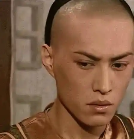 我的前半生靳东的颜值进化史