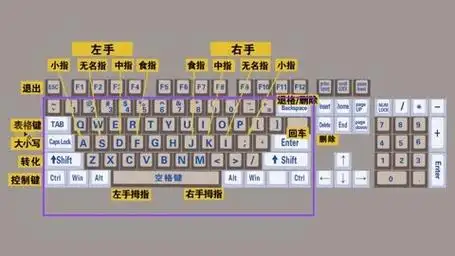 零基础学电脑打字,快速学会键盘打字,适合初学者学习