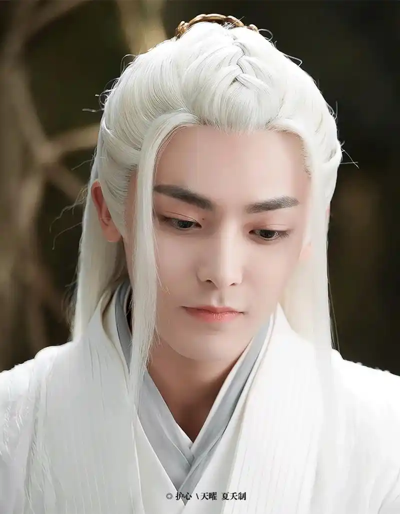 说是白发系列其实也可能是银发,反正颜色差不多,侯明昊,刘学义,檀健次