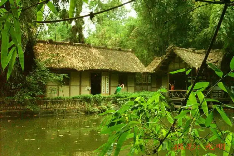 【竹林听雨影朦胧,岁月无风染尘梦】 - 深秋无痕 - 深秋无痕