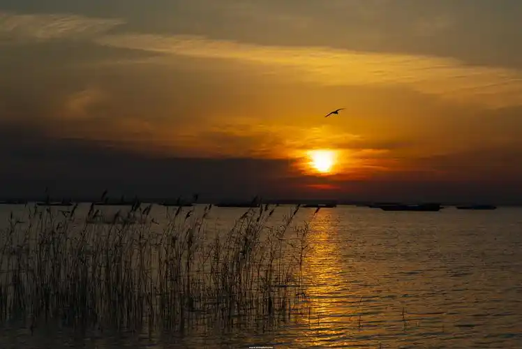 落霞与孤鹜齐飞