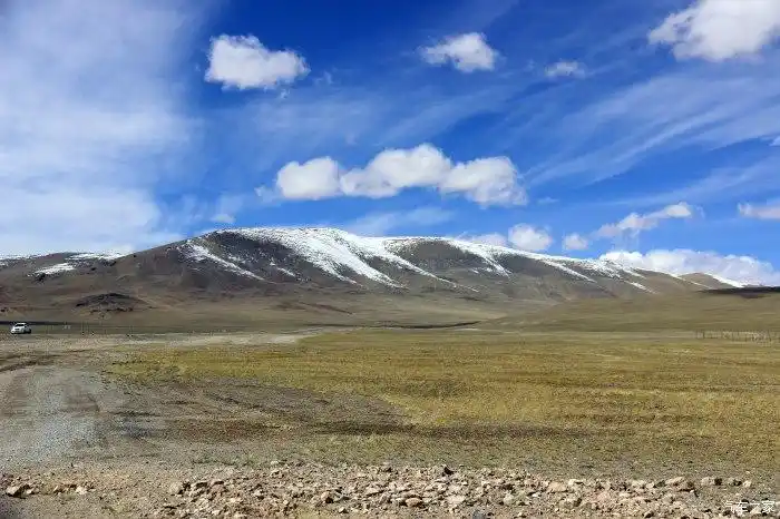 阿里大北线感受羌塘的独特魅力