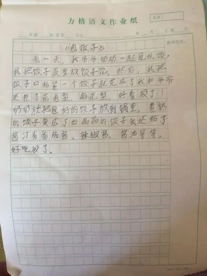 包饺子作文