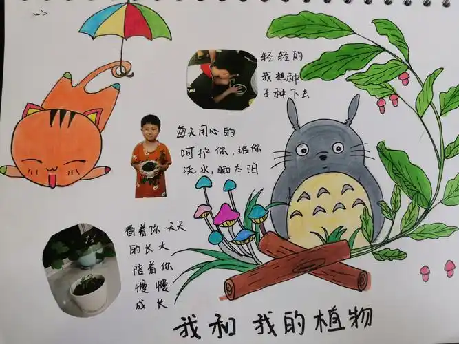 "记录成长足迹,留住美好童年"育才实验学校二年级成长纪念册评比活动