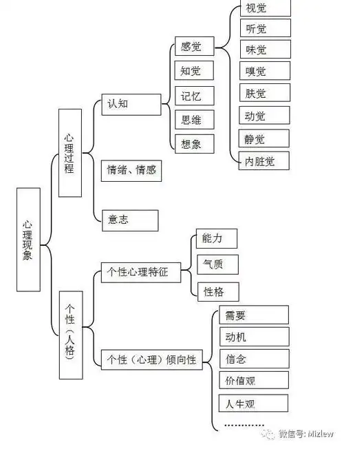 基础心理学之心理现象心理学了2