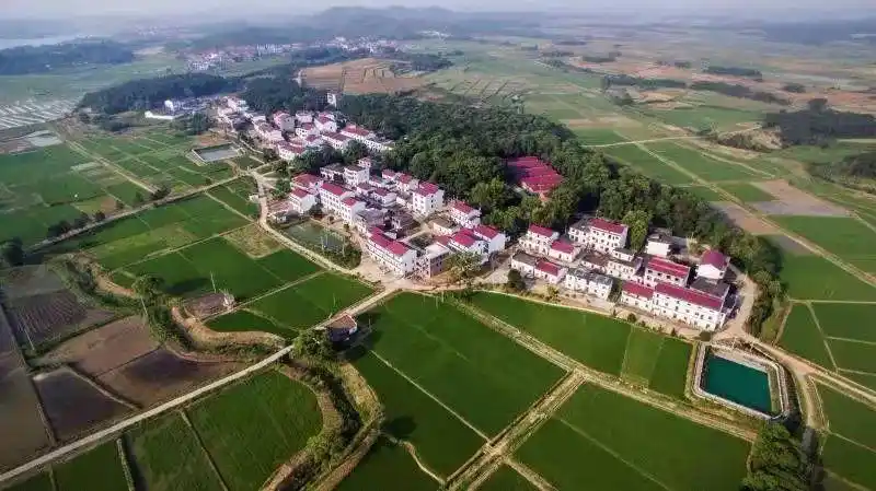 脱贫攻坚为了南山村的幸福