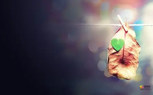 qq风尚壁纸 第十二辑