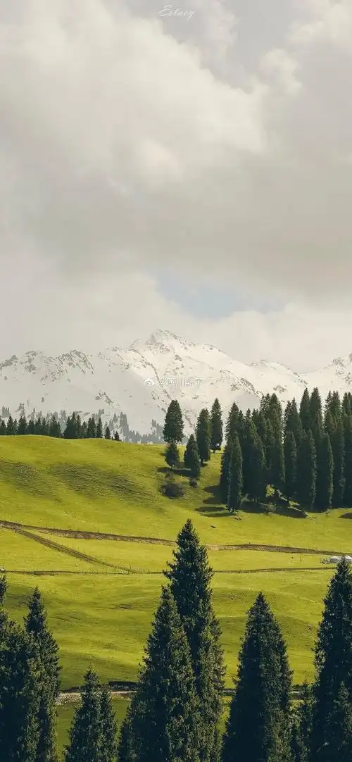 【图片编号 3480】小清新景深风景壁纸#朋友圈背景图##ins手机壁纸