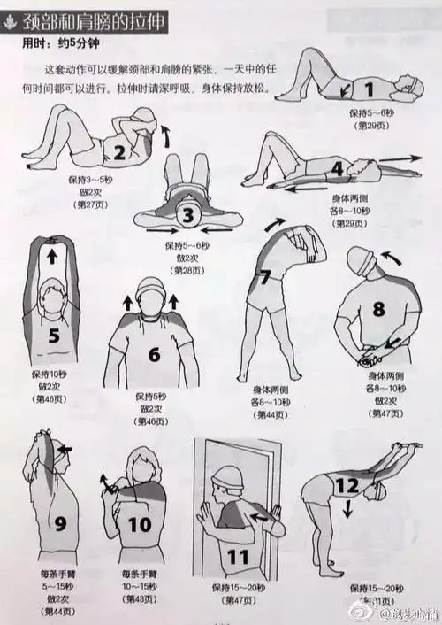 拉伸动作全收录缓解肌肉僵硬让你健步如飞