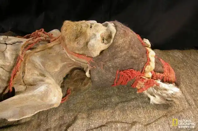 罗布泊深处为什么埋着这么多木人