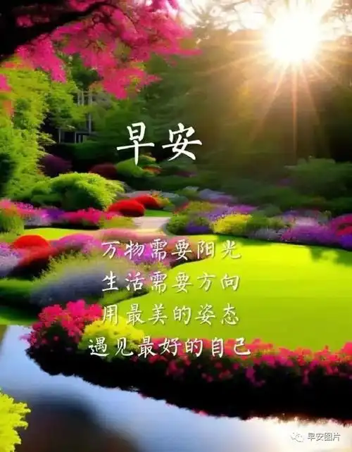 今日早安最新创意祝福图片带问候语愿你身体健康活力充沛好运连连顺风