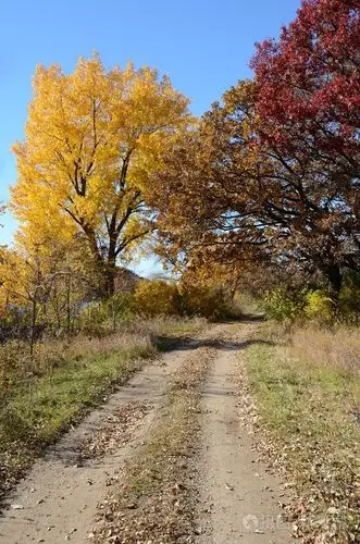 秋天的颜色,沿着一条乡村公路
