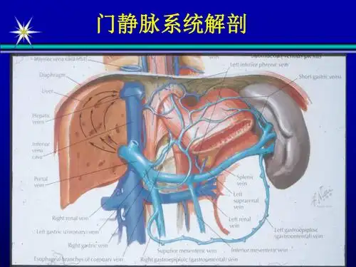 外科学教学课件门静脉高压症外科治疗进展