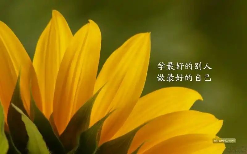 励志桌面背景图